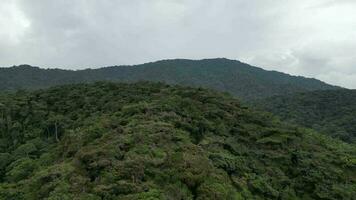 Aerial fly over the highland forest video