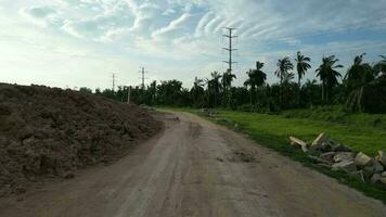 A dirt road surrounded by palm trees and power lines video