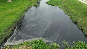 ein verschmutzt Fluss Laufen durch ein üppig Grün Feld video