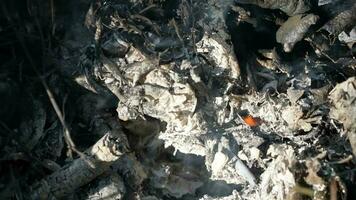 A close up of a pile of fire burning video