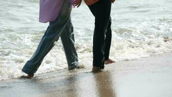 Due persone camminare a il spiaggia video