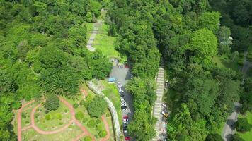 An aerial view of a lush green botanical garden video