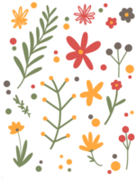 Flower collection with leaves, floral bouquets png