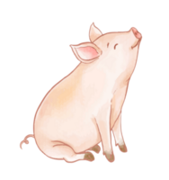 vattenfärg gris tecknad serie karaktär png
