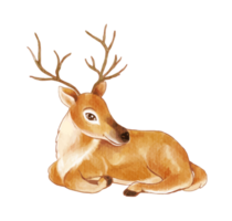 watercolor of deer cartoon character png