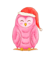 Cute watercolor owl wear Christmas hat png