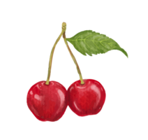 körsbär frukt vattenfärg png