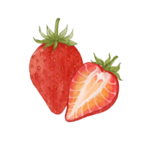 strawberry fruit watercolor png
