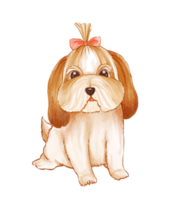 Watercolor of cute Shih Tzu dog character png