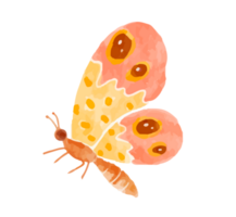 Aquarell von fliegend Schmetterling png