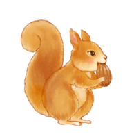 Aquarell von Eichhörnchen Karikatur Charakter png