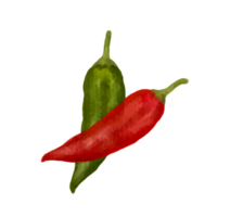 pepper watercolor illustration png