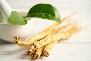 ginseng, hierba vegetal seca. comida sana comida de exportación famosa en el país de corea. foto