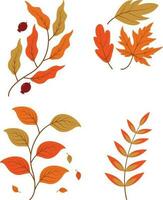 Autumn Leaves. Collection of colorful falling autumn leaves isolated on white background. Vector illustration.