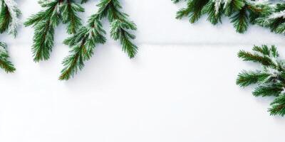 Christmas tree branches and ornaments isolated on white background,. photo