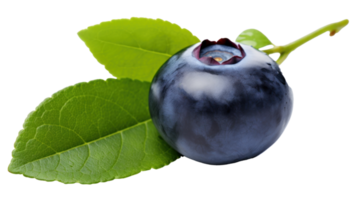 Fresh blueberry isolated png