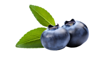 Fresh blueberry isolated png