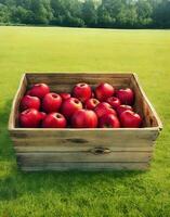 manzana en un caja en el jardín ai generado foto