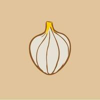 a garlic on a background vector