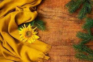 Winter, warm atmosphere. A composition with spruce branches, yellow scarf and sunflower on a wooden background photo