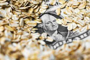 Dollar money in oat flakes photo