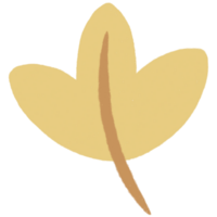 l'automne feuille dans Couleur png