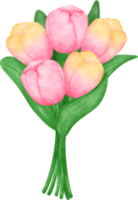 vibrante ramo de flores de tulipán flores en un encantador pastel acuarela mano dibujo png