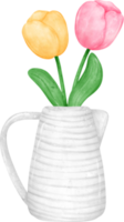 vibrant bouquet of tulip flowers in vase  in a delightful pastel watercolour hand drawing png