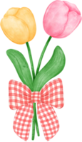 vibrant bouquet of tulip flowers with cute bow tie  in a delightful pastel watercolour hand drawing png