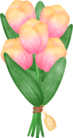 levendig boeket van tulp bloemen met schattig boog stropdas in een verrukkelijk pastel waterverf hand- tekening png