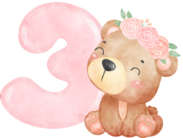 bambino orso compleanno ragazza con numeri 3, indossare fiore corona, acquerello asilo png impostato