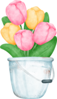 vibrant bouquet of tulip flowers in vase  in a delightful pastel watercolour hand drawing png