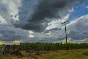 Stormy sky due to rain in the Argentine countryside, La Pampa province, Patagonia, Argentina. photo