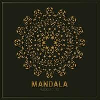 Luxury Mandala background design template vector