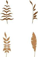 Boho Leaves, branches, twigs. Collection of botanical home wall art decor boho elements isolated on white background. Leaves design bundle vector