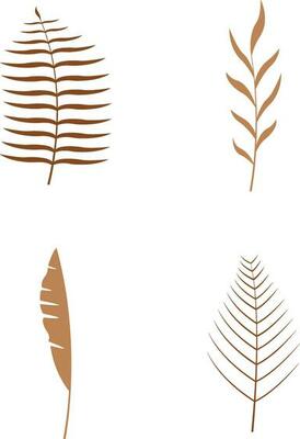 Boho Leaves, branches, twigs. Collection of botanical home wall art decor boho elements isolated on white background. Leaves design bundle