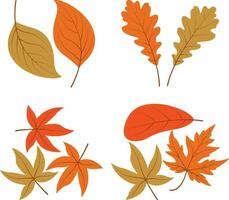 Autumn Leaves. Collection of colorful falling autumn leaves isolated on white background. Vector illustration.