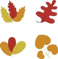 Autumn leaves set, isolated on white background. simple cartoon flat style, vector illustration.