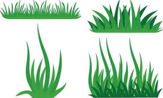 Grass Illustration. vector set for design decoration. Natural material for collecting.Vector illustration