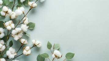 Cotton flowers on the tree photo