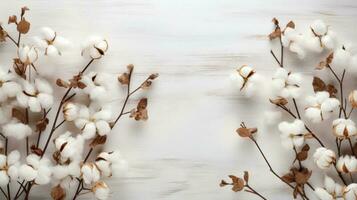 Cotton flowers on the tree photo