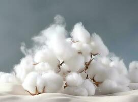 Cotton flowers on the tree photo