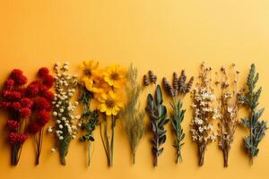 Medicinal herbs flowers, on a pastel yellow background. AI generative photo