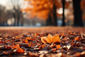 Fall leaves are falling onto a ground, in the style of bokeh panorama, orange, detailed landscapes. photo