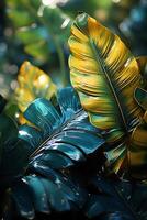 A vibrant tapestry of abstract shapes and patterns intertwines with lush green foliage, bathed in shimmering sunlight. photo