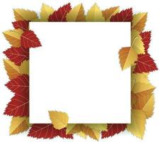 Autumn background with autumn bright leaves and square frame, paper white sheet on white background. Vector illustration. Template, layout, mockup for posters, brochures, invitations, certificates