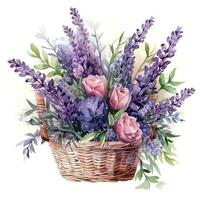 Watercolor lavender flower bouquet isolated photo