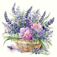 Watercolor lavender flower bouquet isolated photo