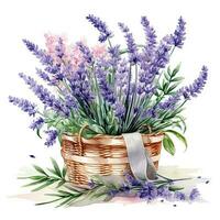 Watercolor lavender flower bouquet isolated photo