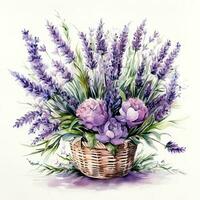 Watercolor lavender flower bouquet isolated photo